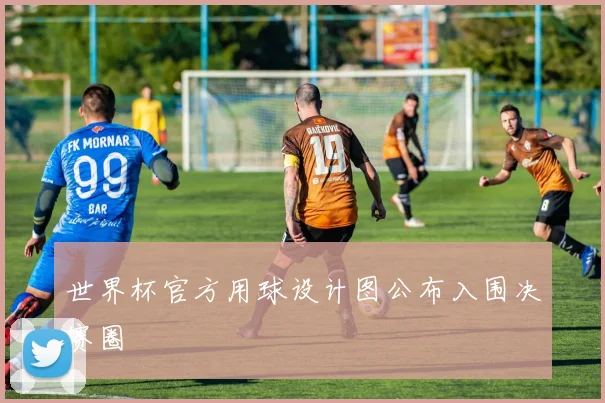 世界杯官方用球设计图公布入围决赛圈
